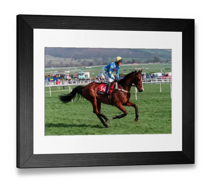 Framed Print : Windross Ridden By A.Mcguire 23 March 1999 Date: 23 March 1999 Framed Print : Windross Ridden By A.Mcguire 23 March 1999 Date: 23 March 1999