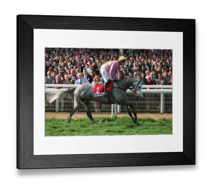 Framed Print : Call Equiname Framed Print : Call Equiname