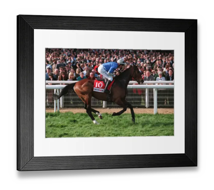 Framed Print : Lord Dorcet Framed Print : Lord Dorcet