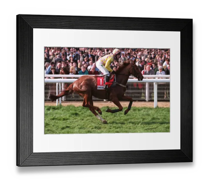 Framed Print : Mulligan Ridden By A.Maguire 23 March 1999 Date: 23 March 1999 Framed Print : Mulligan Ridden By A.Maguire 23 March 1999 Date: 23 March 1999