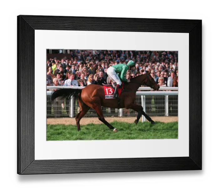 Framed Print : Papillon Ridden By R.Walsh 23 March 1999 Date: 23 March 1999 Framed Print : Papillon Ridden By R.Walsh 23 March 1999 Date: 23 March 1999