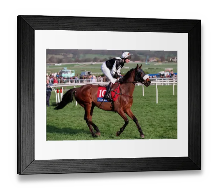 Framed Print : Allegation