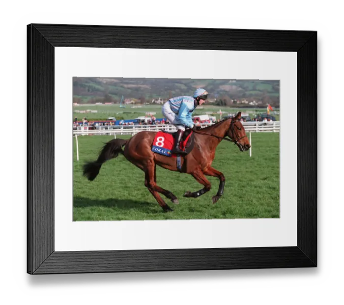 Framed Print : Gatflax Ridden By A.Dobbin 23 March 1999 Date: 23 March 1999 Framed Print : Gatflax Ridden By A.Dobbin 23 March 1999 Date: 23 March 1999