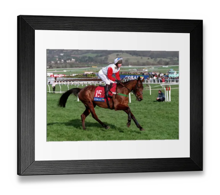 Framed Print : Supreme Lady Framed Print : Supreme Lady