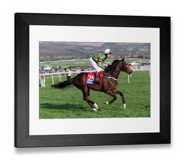 Framed Print : Darapour Ridden By C.F.Swan 23 March 1999 Date: 23 March 1999 Framed Print : Darapour Ridden By C.F.Swan 23 March 1999 Date: 23 March 1999