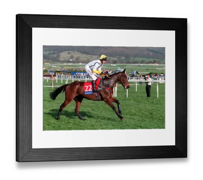 Framed Print : Master Pilgrim Framed Print : Master Pilgrim