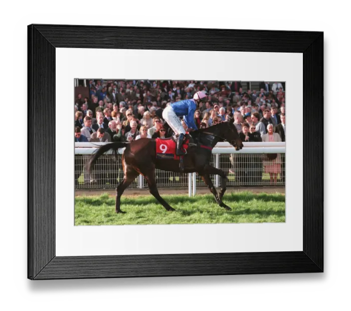 Framed Print : Lord Of The River Framed Print : Lord Of The River