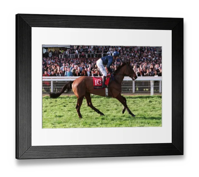 Framed Print : Nick Dundee