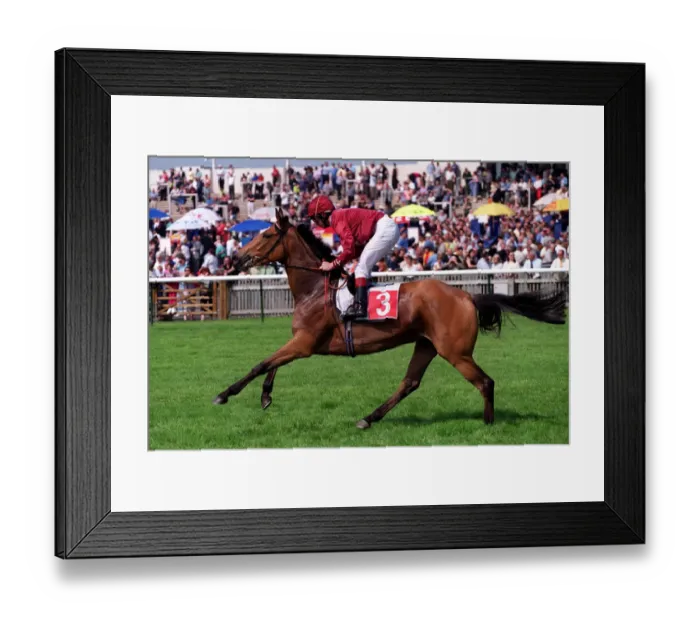 Framed Print : Clipper Ridden By J.Reid 07 May 2000 Date: 07 May 2000 Framed Print : Clipper Ridden By J.Reid 07 May 2000 Date: 07 May 2000