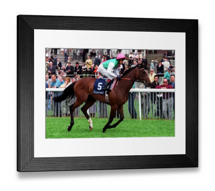 Framed Print : High Walden Framed Print : High Walden