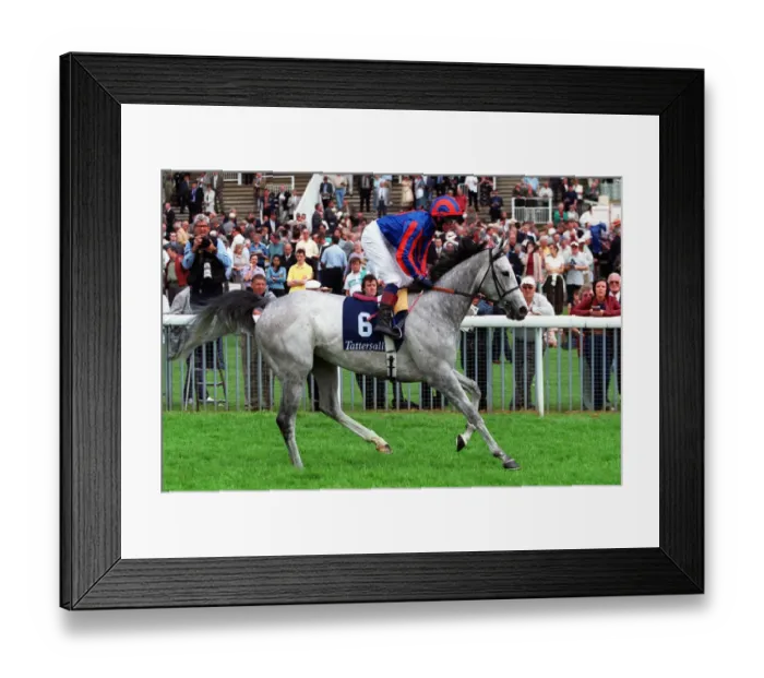 Framed Print : Kalypso Katie Framed Print : Kalypso Katie