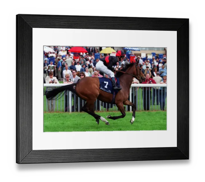 Framed Print : Lady Upstage Framed Print : Lady Upstage