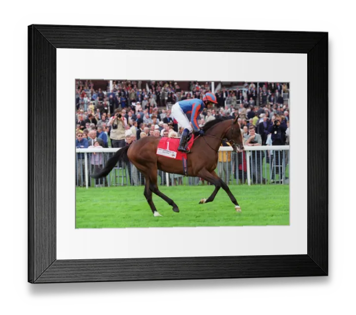Framed Print : Hemingway Ridden By M.J.Kinane York Racecourse 22 August 2000 Date: 22 August 2000