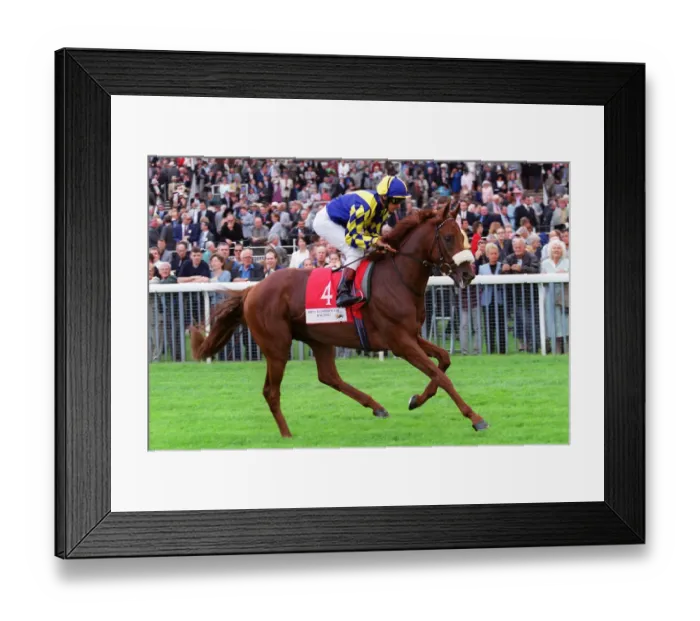 Framed Print : Reduit Ridden By L.Dettori York Racecourse 22 August 2000 Date: 22 August 2000 Framed Print : Reduit Ridden By L.Dettori York Racecourse 22 August 2000 Date: 22 August 2000