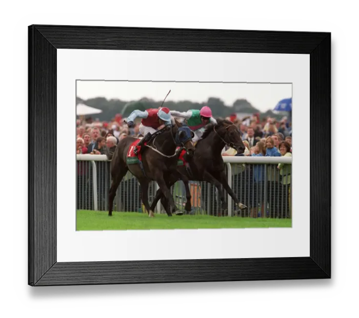 Framed Print : Royal Rebel & Rainbow High Framed Print : Royal Rebel & Rainbow High