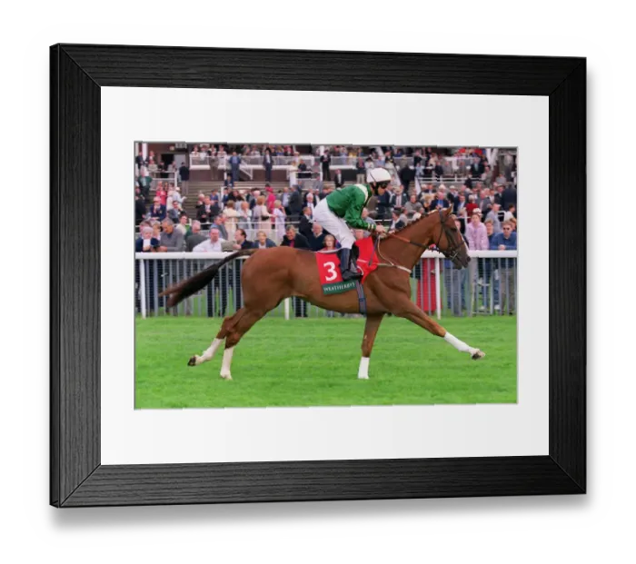 Framed Print : Spirit Of Love Framed Print : Spirit Of Love