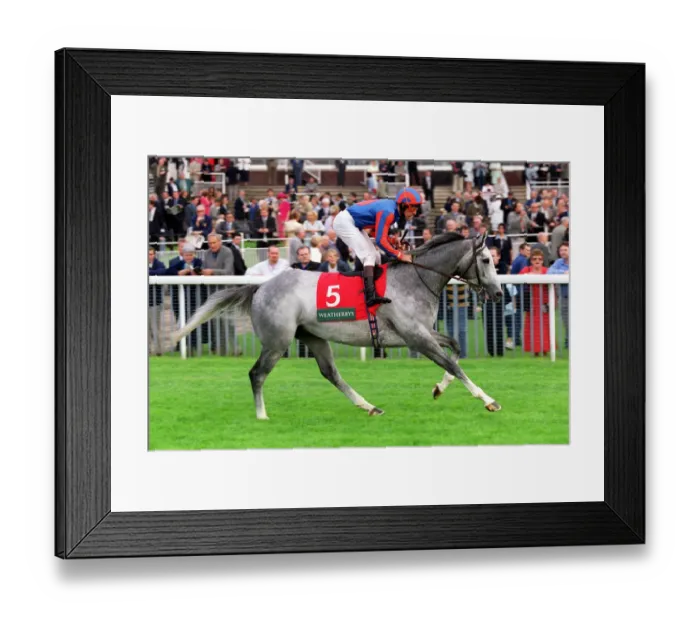 Framed Print : Rostropovich Framed Print : Rostropovich