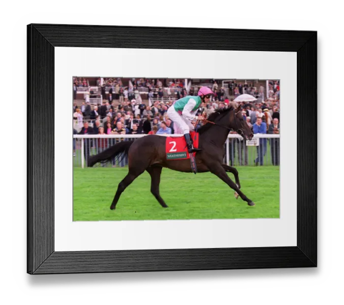 Framed Print : Rainbow High Framed Print : Rainbow High