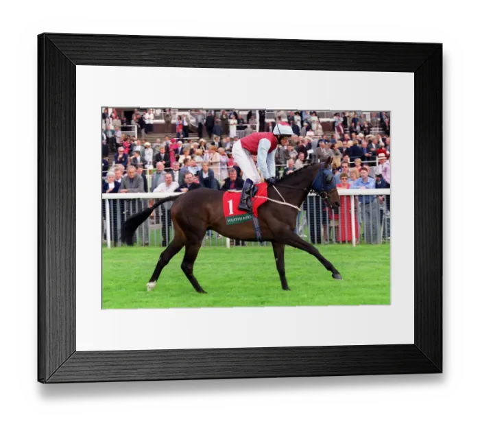 Framed Print : Royal Rebel