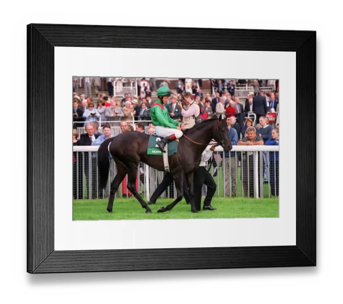 Framed Print : Kalanisi Ridden By Pat Eddery York Racecourse 22 August 2000 Date: 22 August 2000