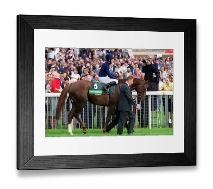 Framed Print : Giant Causeway Framed Print : Giant Causeway