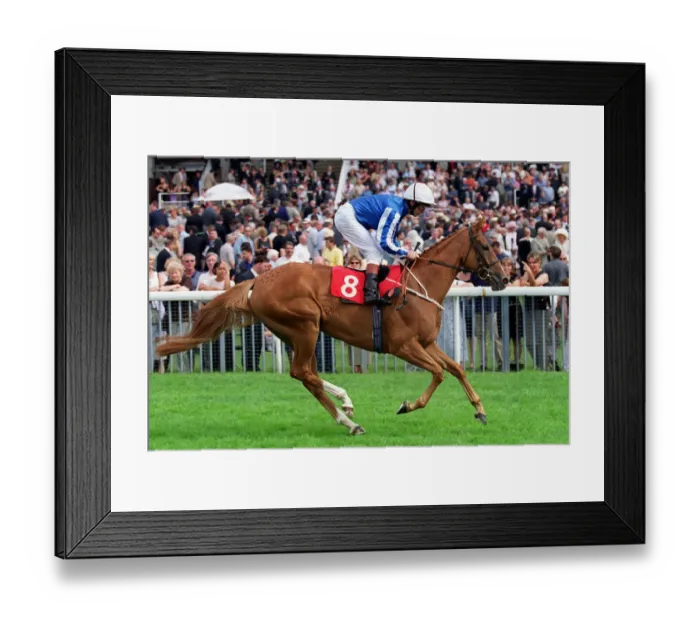 Framed Print : Hiddnah Ridden By John Reid York Racecourse 22 August 2000 Date: 22 August 2000 Framed Print : Hiddnah Ridden By John Reid York Racecourse 22 August 2000 Date: 22 August 2000