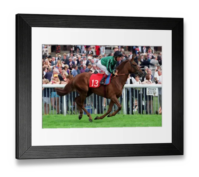 Framed Print : Unseeded Ridden By Pat Eddery York Racecourse 22 August 2000 Date: 22 August 2000 Framed Print : Unseeded Ridden By Pat Eddery York Racecourse 22 August 2000 Date: 22 August 2000