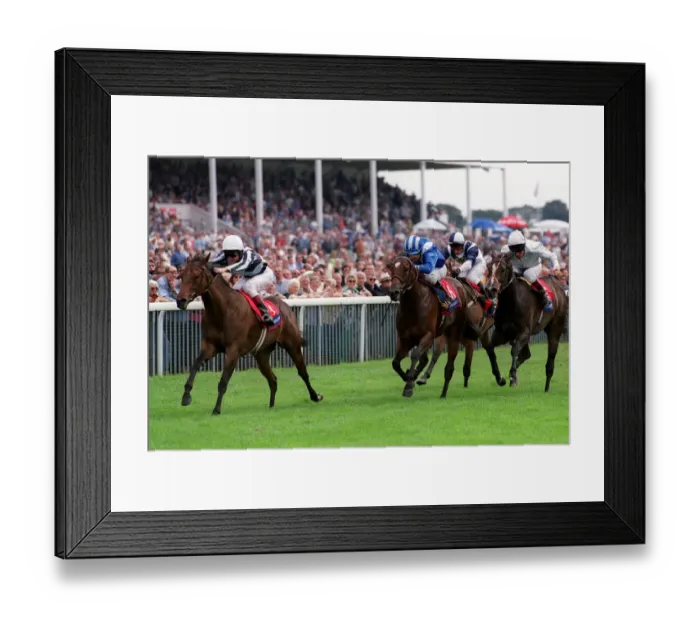 Framed Print : Enthused Ridden By J. Murtagh Framed Print : Enthused Ridden By J. Murtagh