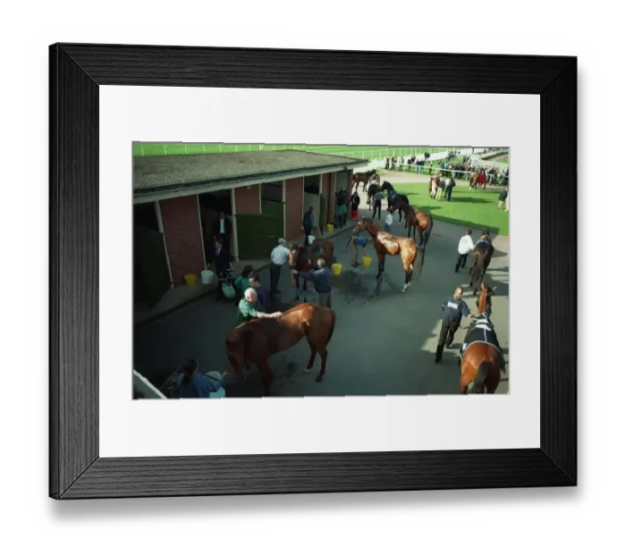 Framed Print : Washing Down Warwick Races