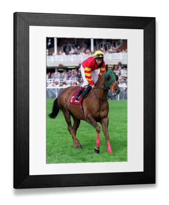 Framed Print : Rudi Pet Ridden By S.Sanders York Racecourse 22 August 2000 Date: 22 August 2000 Framed Print : Rudi Pet Ridden By S.Sanders York Racecourse 22 August 2000 Date: 22 August 2000