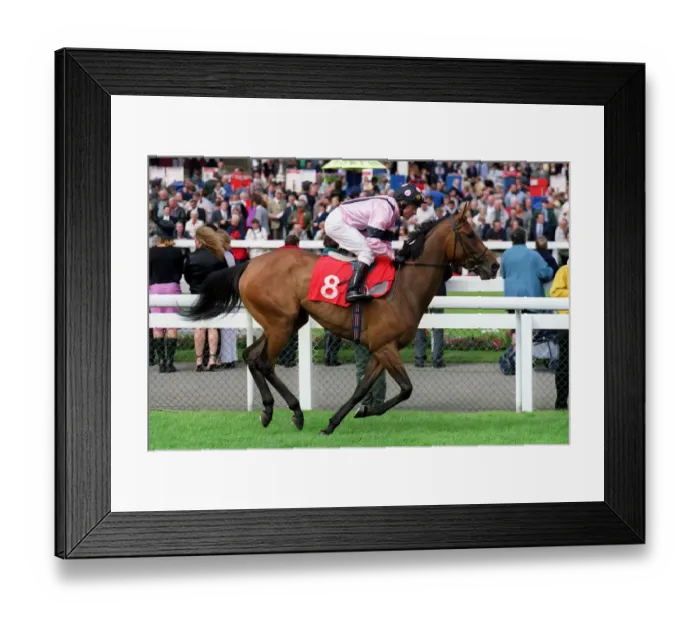 Framed Print : Lord Kintyre