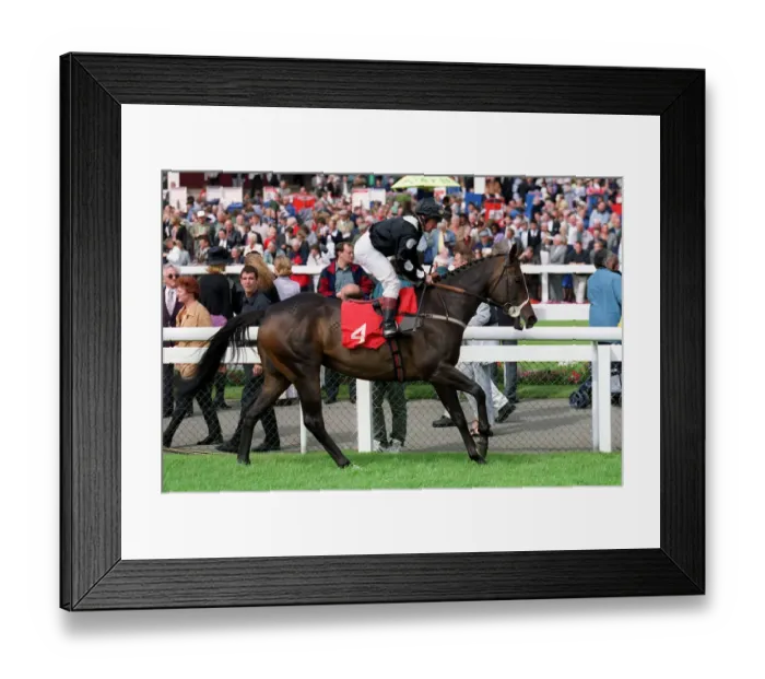 Framed Print : See You Later