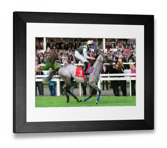 Framed Print : Dancing Maestro