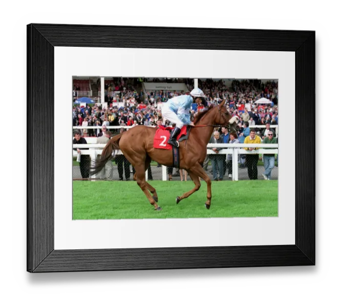 Framed Print : Astonished Framed Print : Astonished