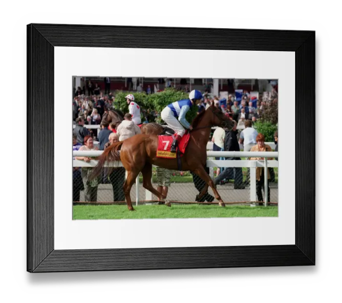 Framed Print : Kalindi Ridden By A.Culhane Doncaster Races Doncaster Framed Print : Kalindi Ridden By A.Culhane Doncaster Races Doncaster