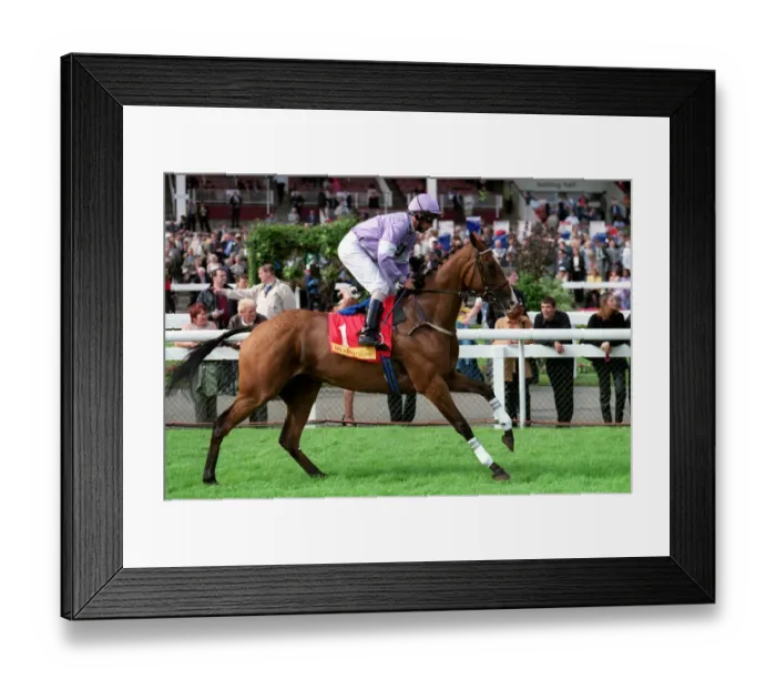 Framed Print : Cantina. Ridden By J.Carroll Doncaster Races Doncaster Framed Print : Cantina. Ridden By J.Carroll Doncaster Races Doncaster