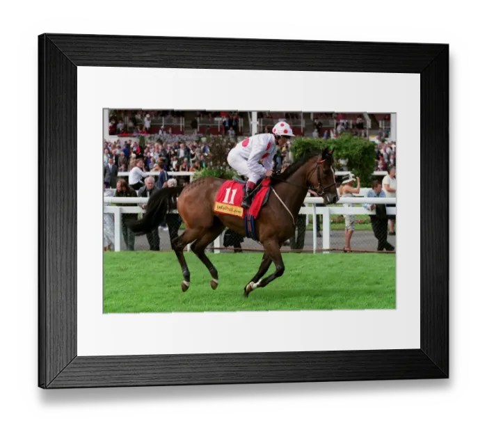 Framed Print : Rendition Ridden By F.Norton Doncaster Races Doncaster Framed Print : Rendition Ridden By F.Norton Doncaster Races Doncaster
