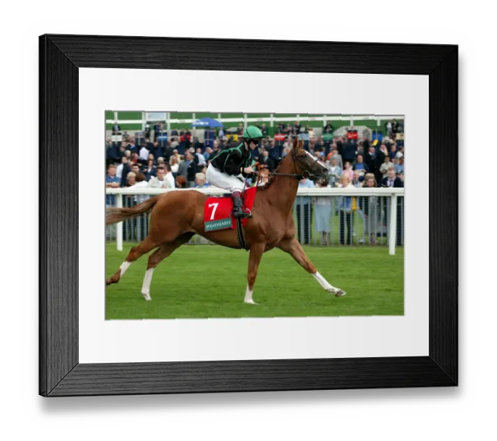 Framed Print : Movie King