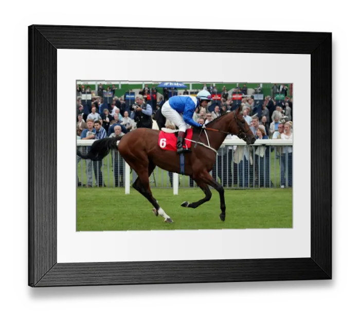 Framed Print : Systematic Framed Print : Systematic