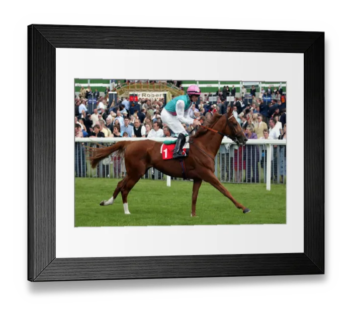 Framed Print : Marani Ridden By R.Hughes York Races York Racecourse, York 22 August 2002 Date Framed Print : Marani Ridden By R.Hughes York Races York Racecourse, York 22 August 2002 Date
