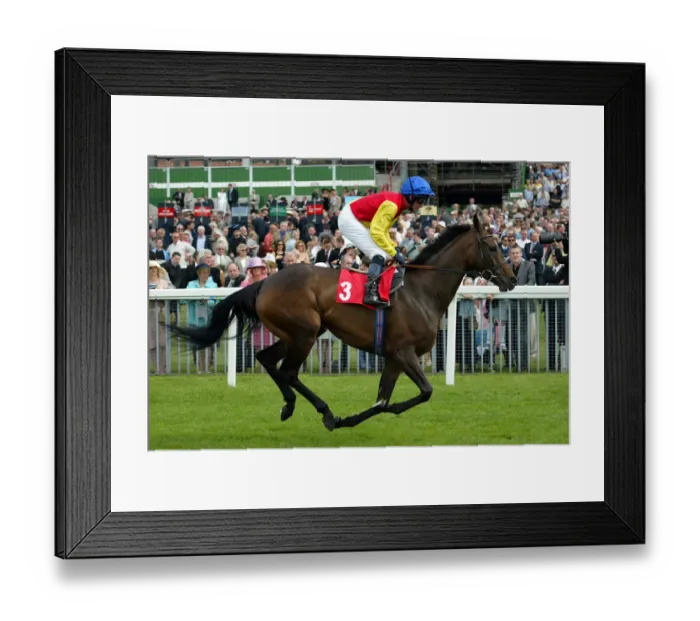 Framed Print : Salim To To