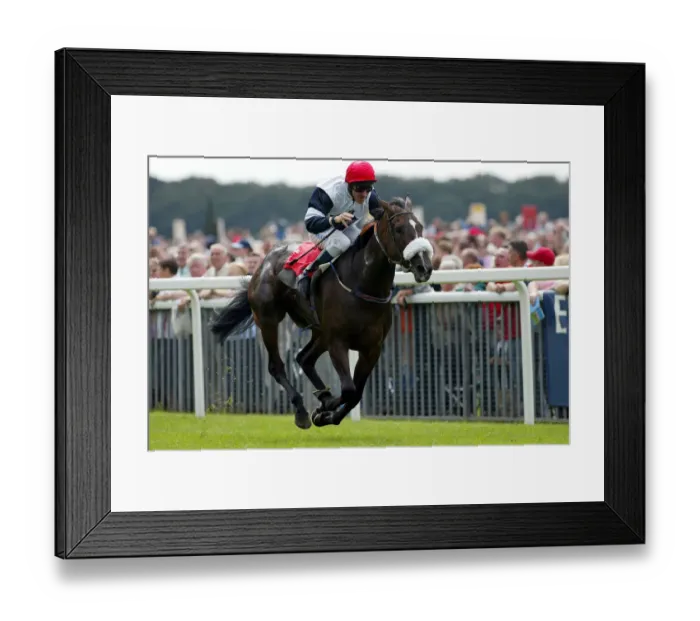 Framed Print : Alexander Three D Framed Print : Alexander Three D
