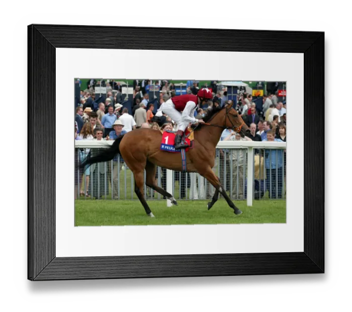 Framed Print : Romantic Liason Framed Print : Romantic Liason