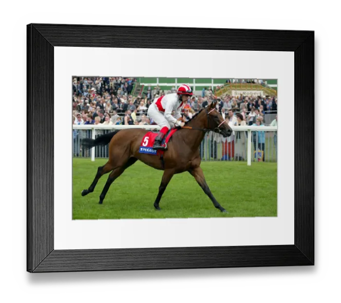 Framed Print : Wimple Ridden By B.Doyle York Races York Racecourse, York 22 August 2002 Date Framed Print : Wimple Ridden By B.Doyle York Races York Racecourse, York 22 August 2002 Date