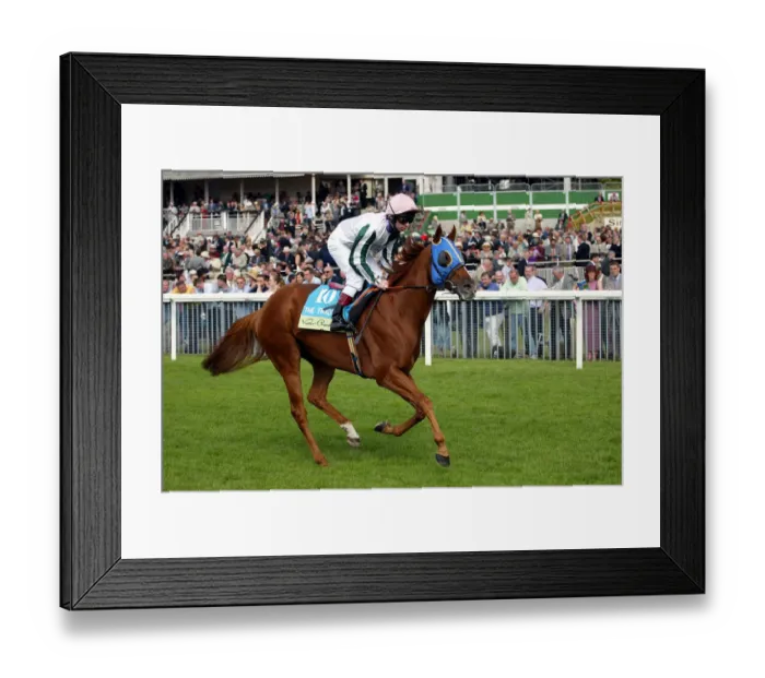 Framed Print : The Trader Framed Print : The Trader