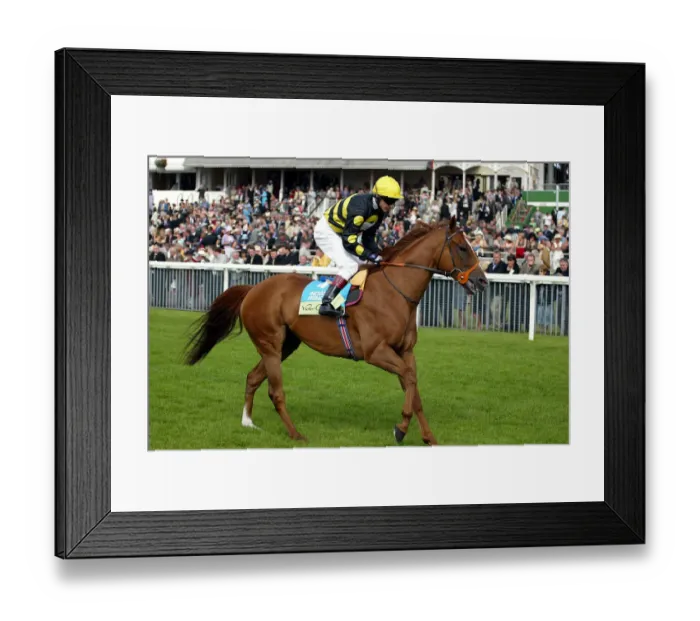 Framed Print : Indian Prince Framed Print : Indian Prince