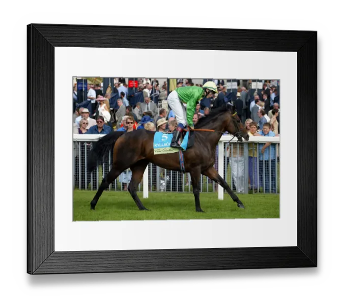 Framed Print : Kyllachy Ridden By Jp.Spencer York Races York Racecourse, York 22 August 2002 Date Framed Print : Kyllachy Ridden By Jp.Spencer York Races York Racecourse, York 22 August 2002 Date