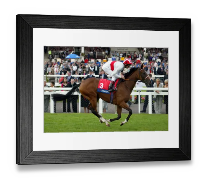 Framed Print : Bush Cat Ridden By L.Dettori Doncaster Racecourse Doncaster Framed Print : Bush Cat Ridden By L.Dettori Doncaster Racecourse Doncaster