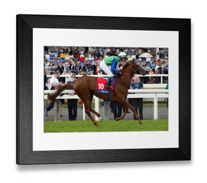 Framed Print : Wondrous Story Framed Print : Wondrous Story
