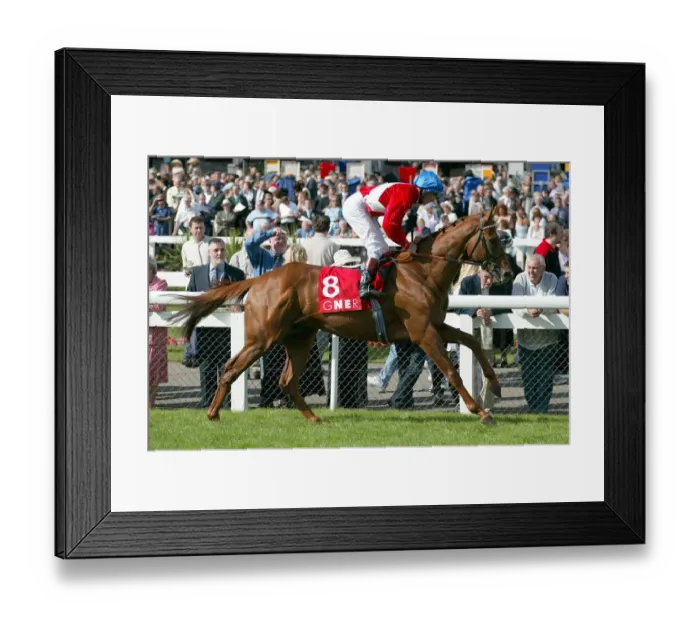 Framed Print : Unleash Ridden By G. Duffield Doncaster Racecourse Doncaster Framed Print : Unleash Ridden By G. Duffield Doncaster Racecourse Doncaster